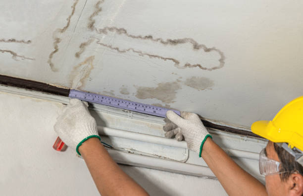 Reliable Water Damage Repair contractor in Howell, MI by Hirex Water Damage